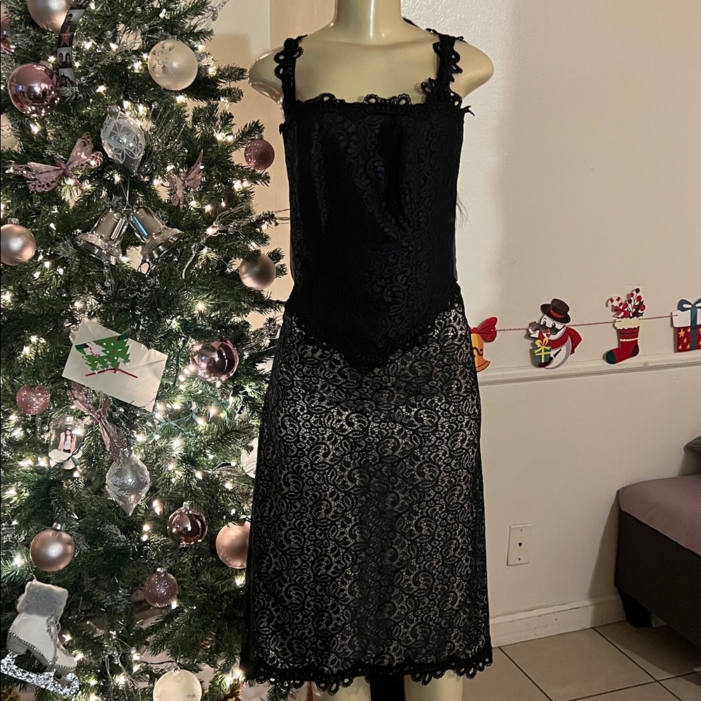 Elegant Black Lace Skirt and corset top